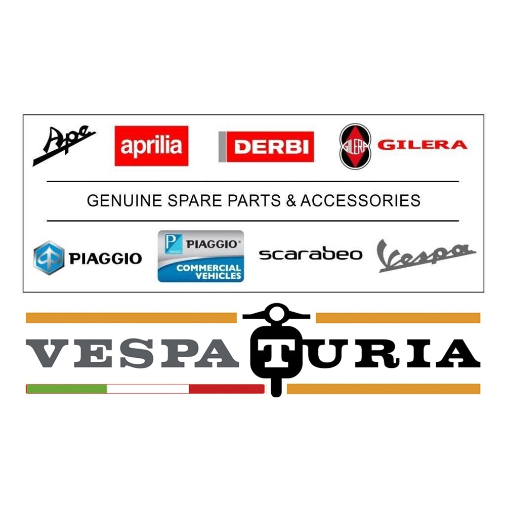 FRONTAL MEDLEY BLANCO